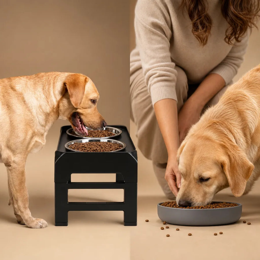 Bol surélevé pour chien réglable - Double inox 4 hauteurs