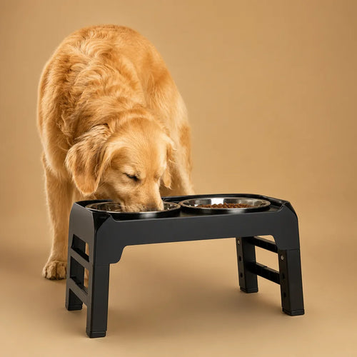 Bol surélevé pour chien réglable - Double inox 4 hauteurs