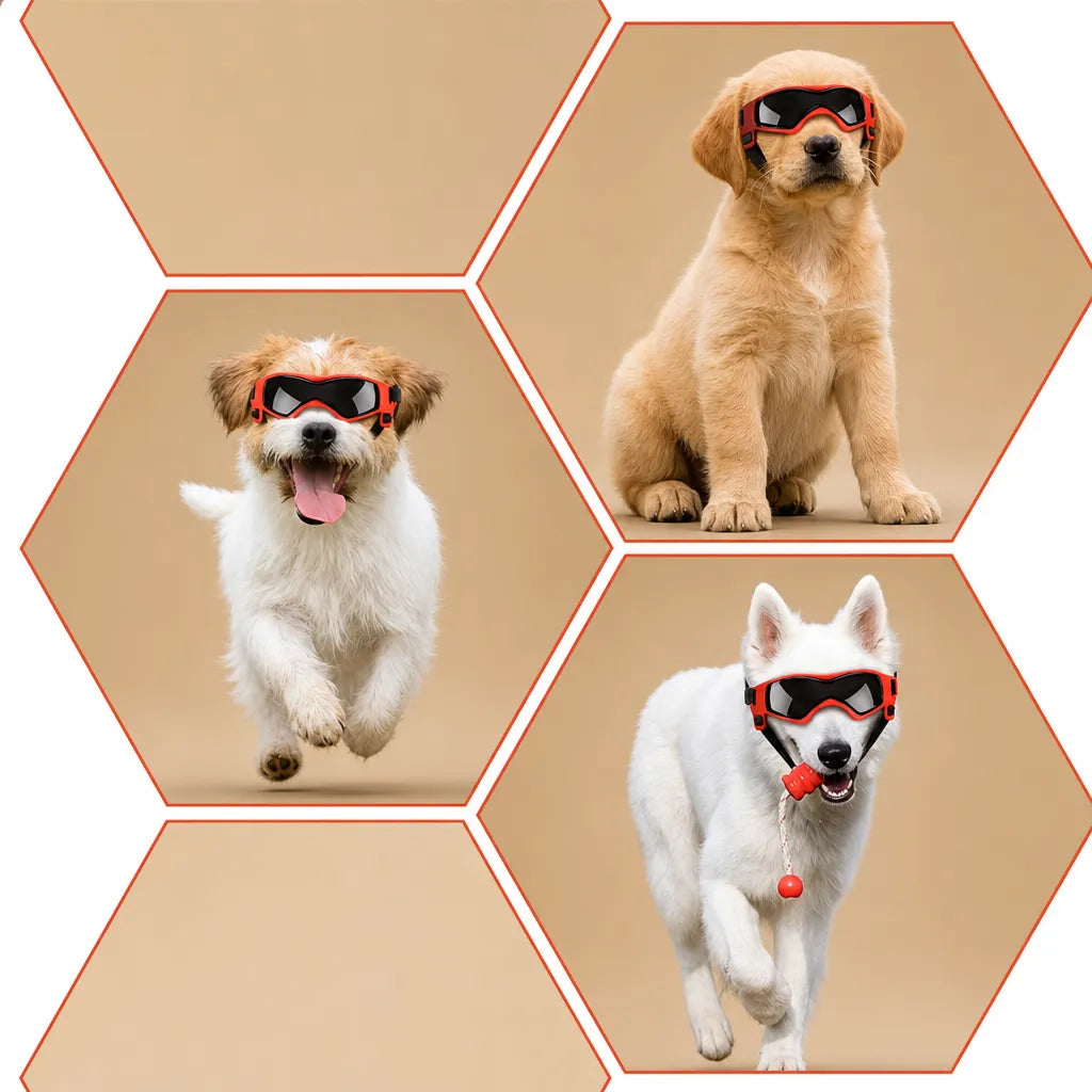 Lunette chien moto - Protection UV, vent et poussière