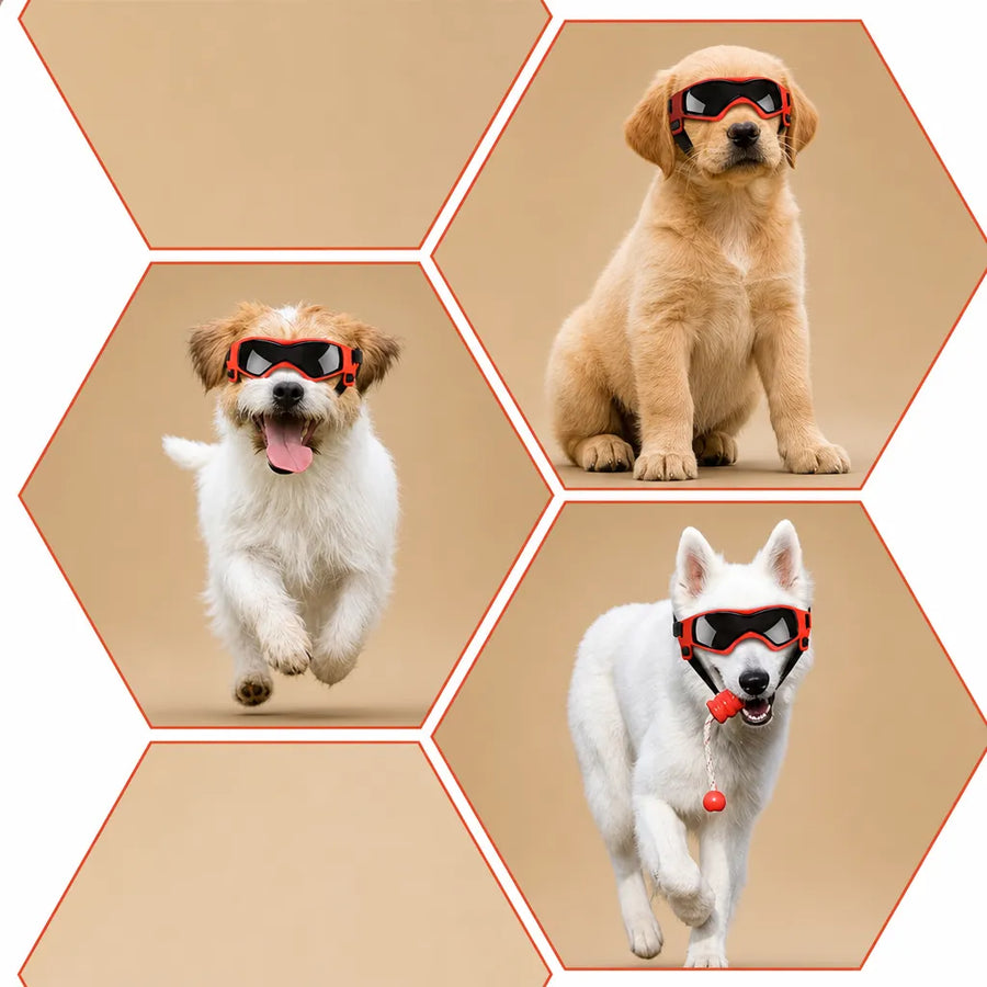 Lunette chien moto - Protection UV, vent et poussière