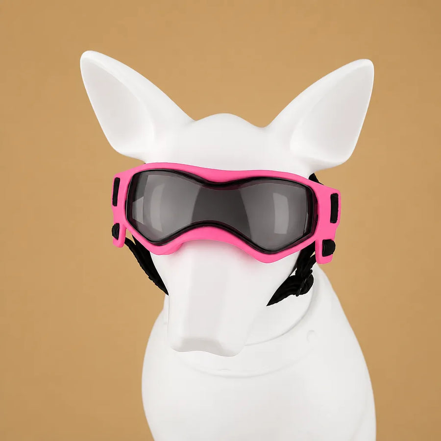 Lunette chien moto - Protection UV, vent et poussière