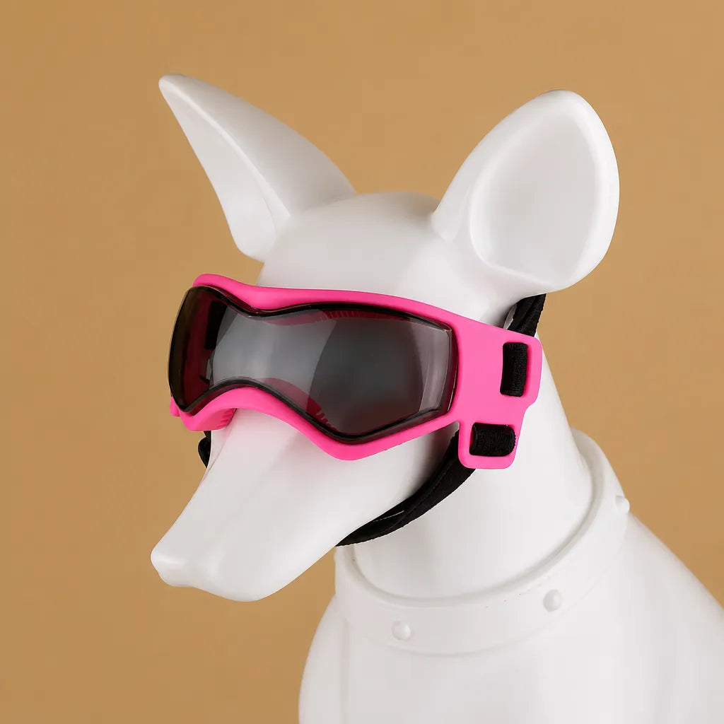 Lunette chien moto - Protection UV, vent et poussière