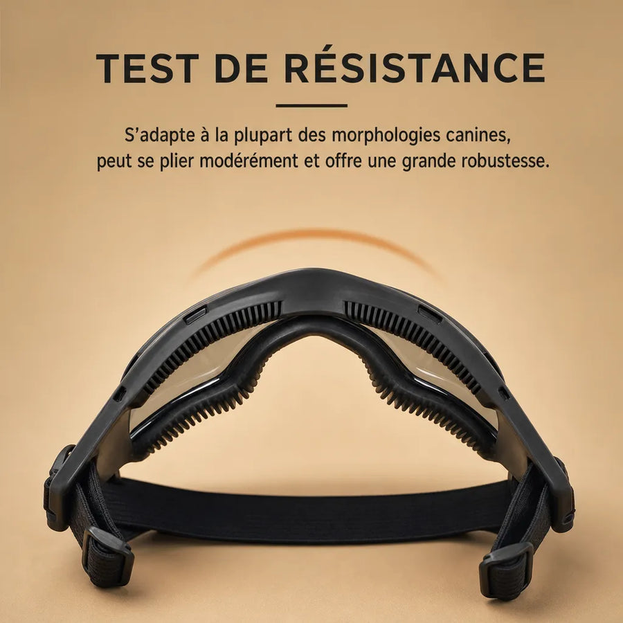 Lunette chien moto - Protection UV, vent et poussière