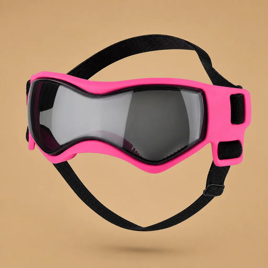 Lunette chien moto - Protection UV, vent et poussière
