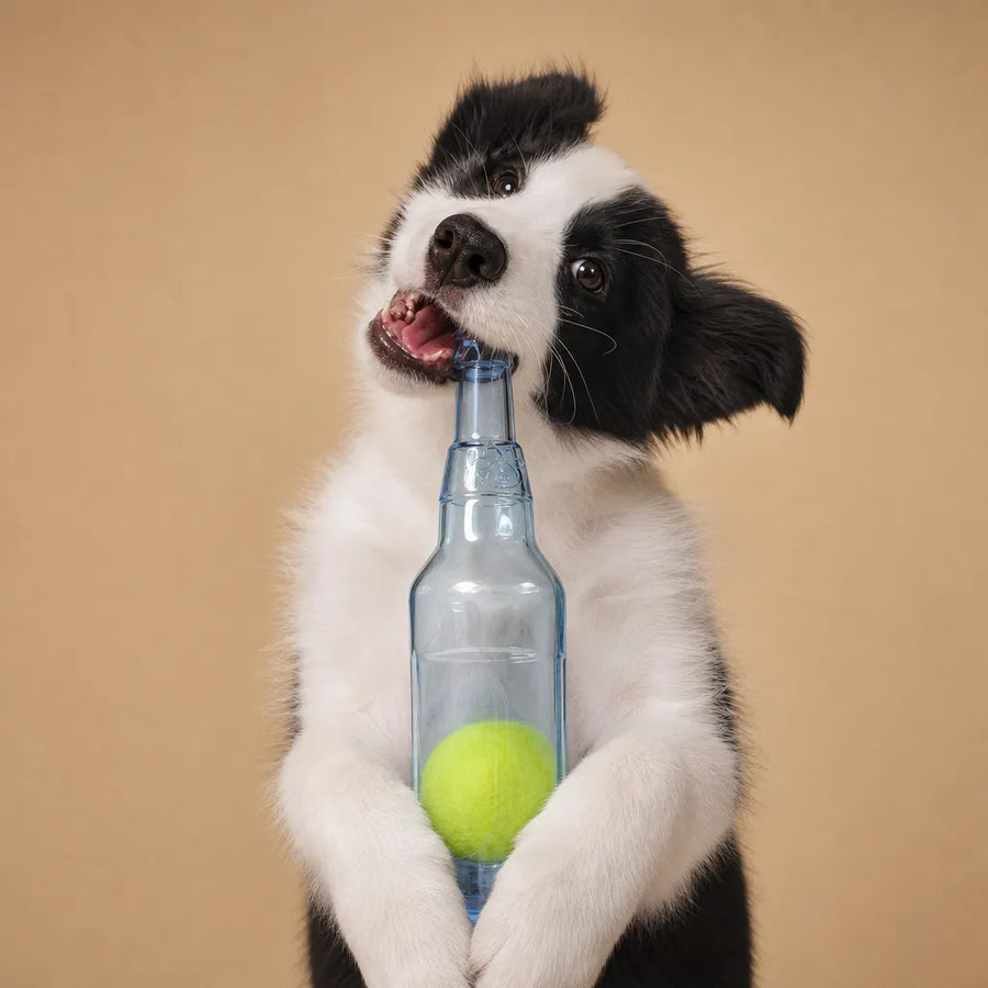 Jouet bouteille chien silicone - Balle tennis intégrée 2 tailles