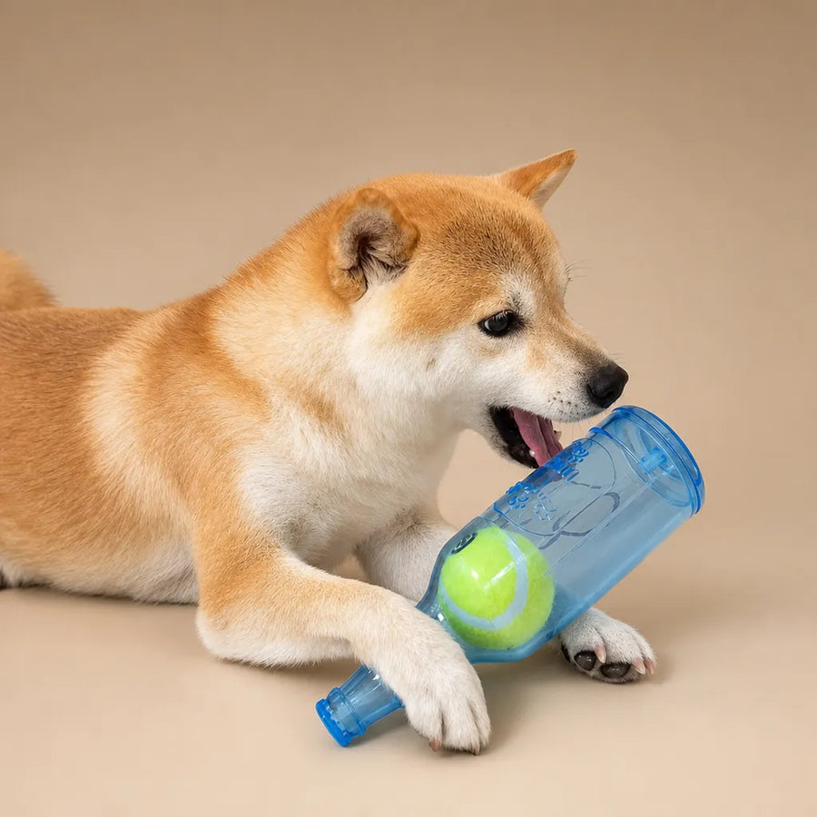 Jouet bouteille chien silicone - Balle tennis intégrée 2 tailles