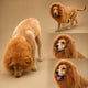 Crinière de lion pour chien - Perruque réaliste et ajustable
