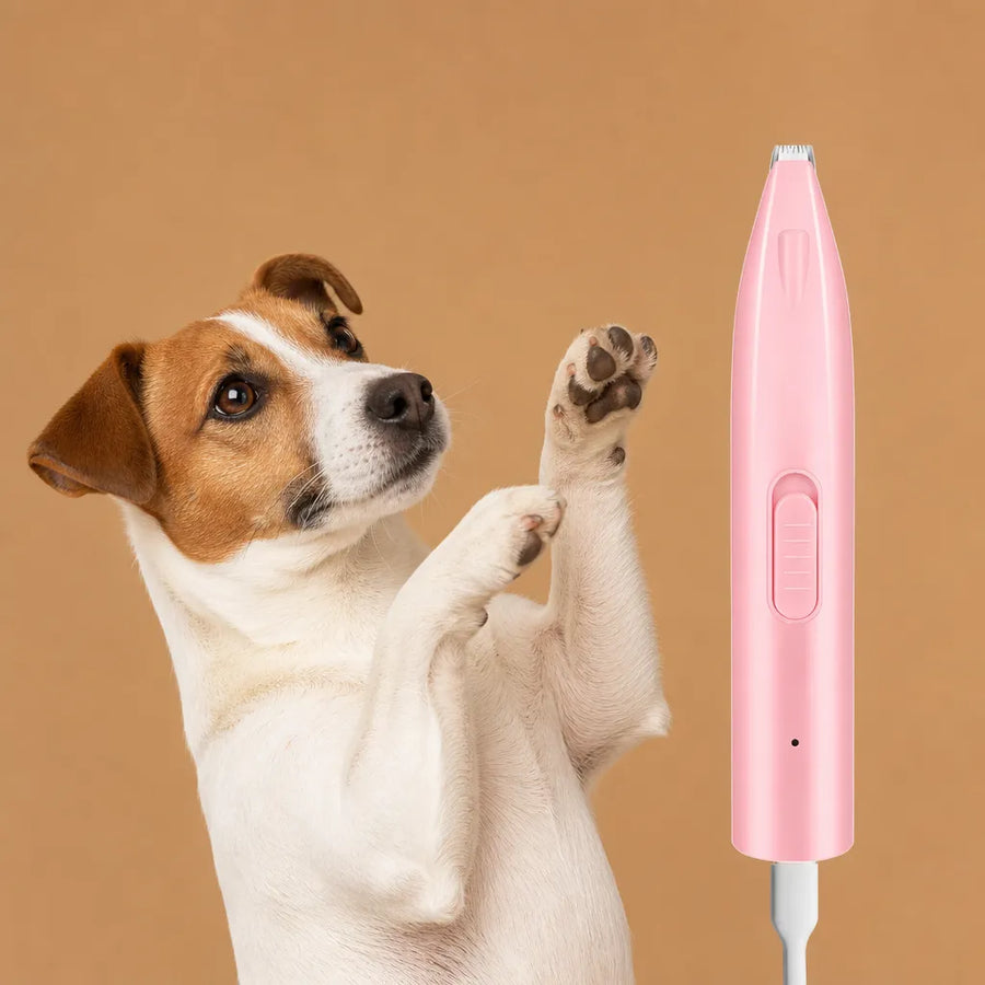 Tondeuse pattes chien électrique - Céramique, LED, USB Type-C