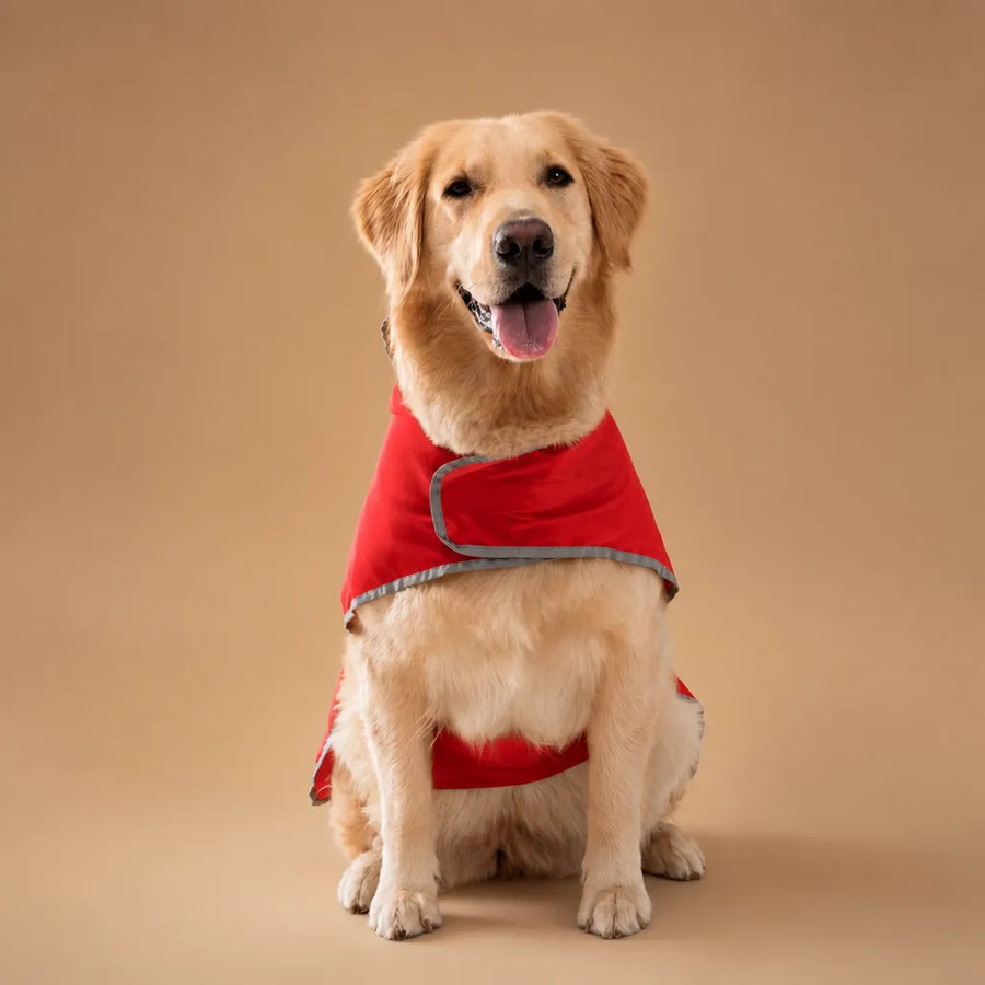Coupe vent chien imperméable réversible - 9 tailles, capuche