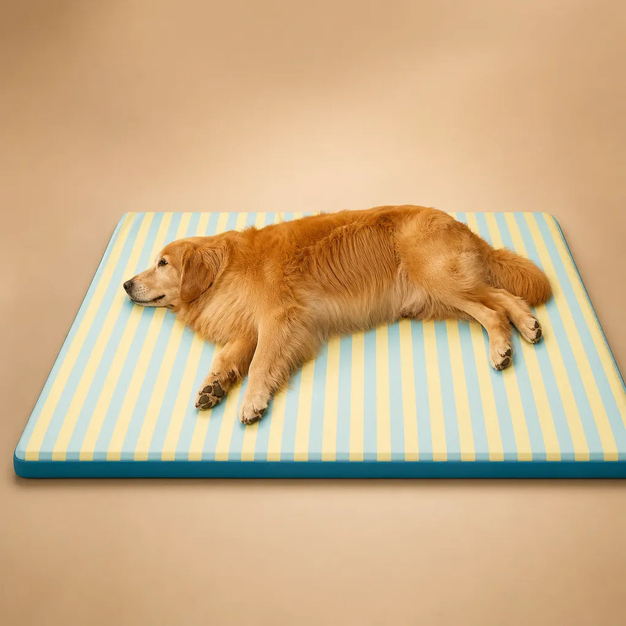 Tapis Frais pour Chien - Respirant et Confortable pour l'été