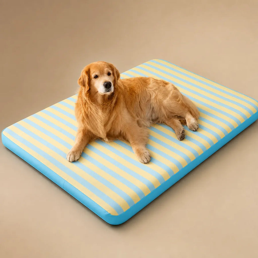 Tapis Frais pour Chien - Respirant et Confortable pour l'été