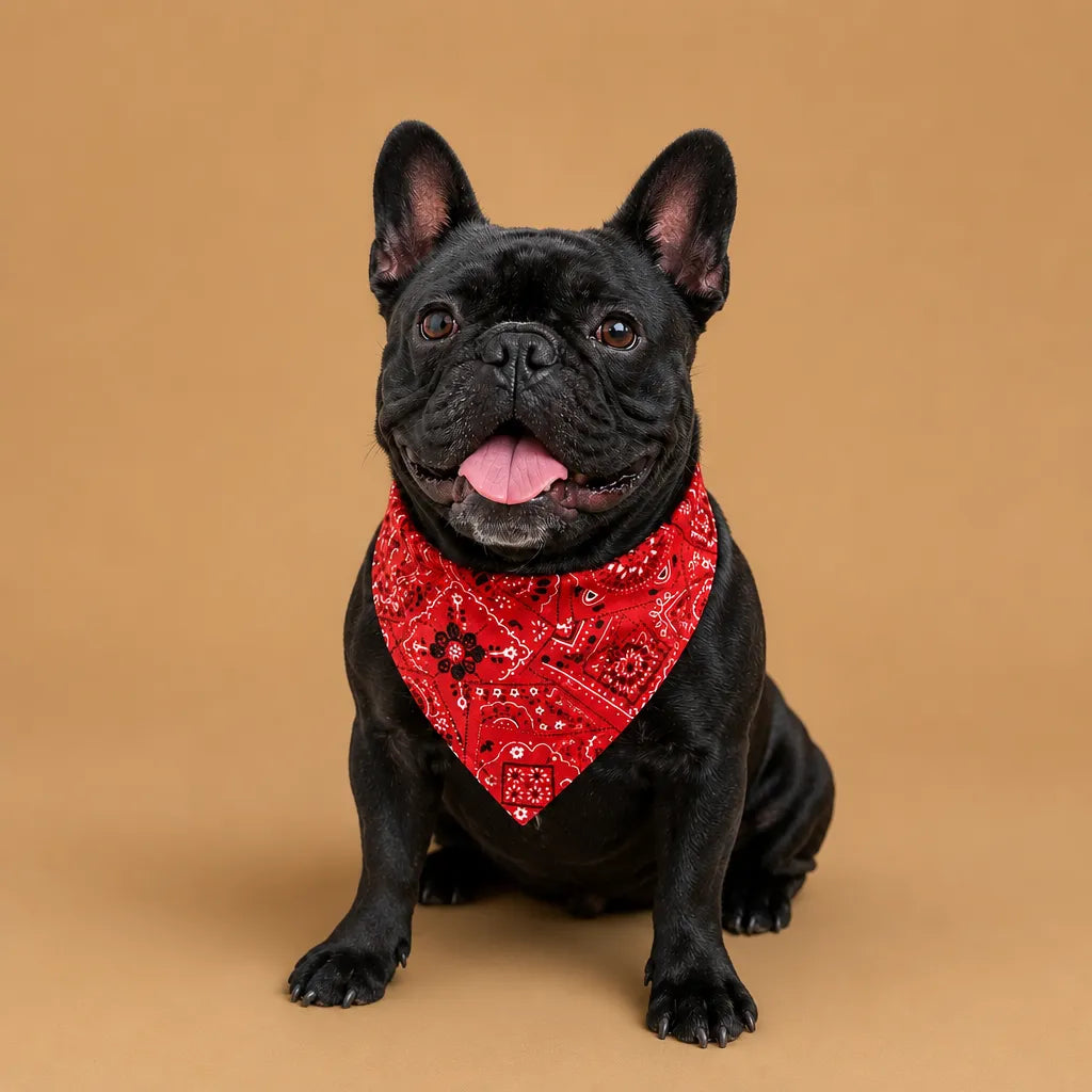 Collier bandana chien paisley réglable - S M L