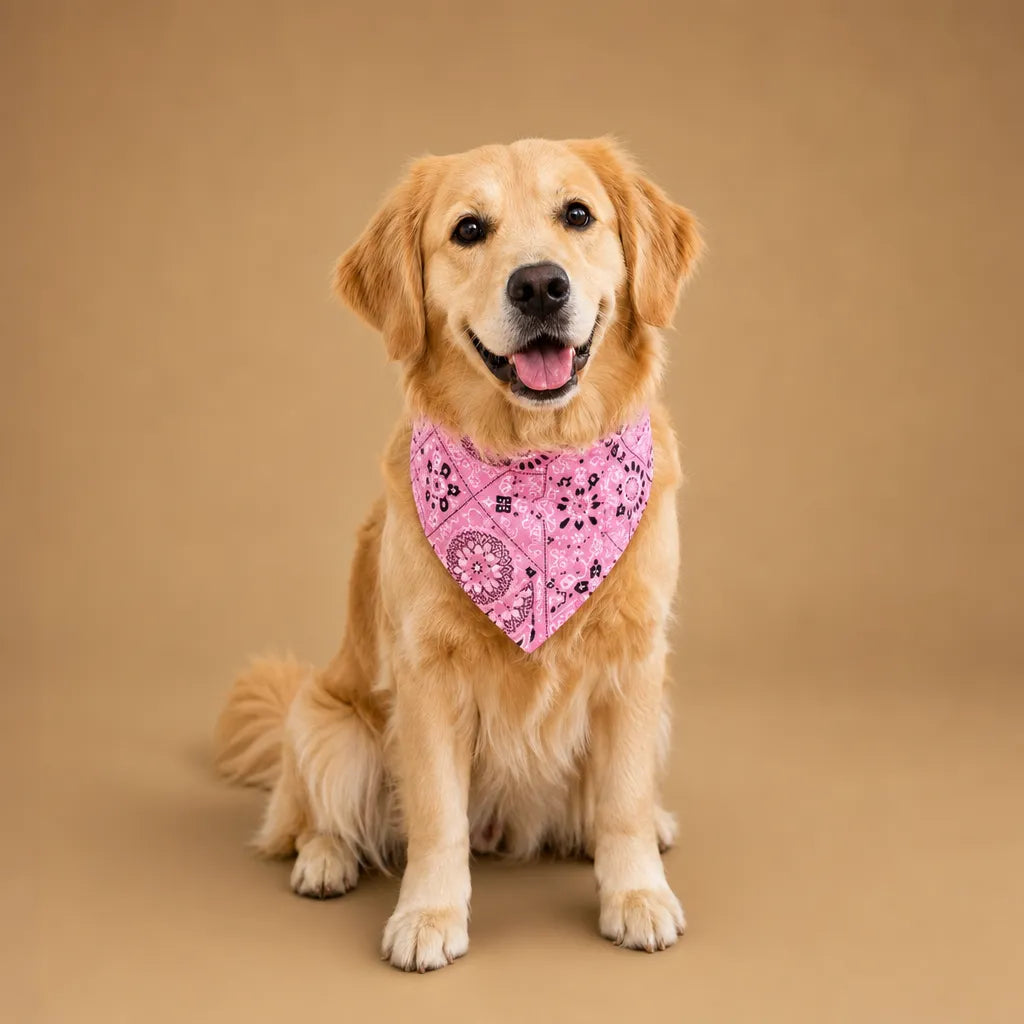 Collier bandana chien paisley réglable - S M L