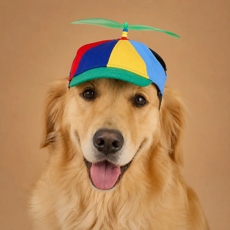 Casquette helice chien - Hélice rotative & Design arc-en-ciel