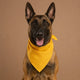 Bandana pour chien en coton - 10 coloris / S et L
