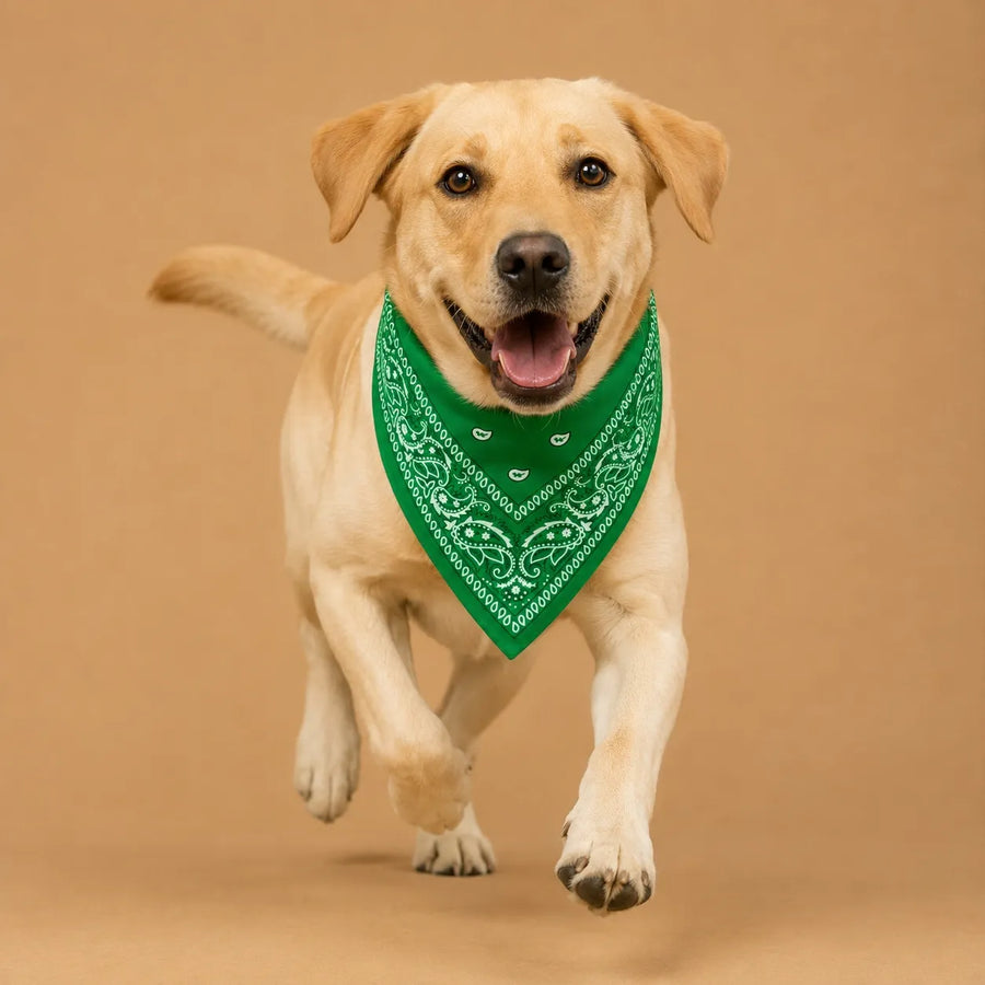 Bandana chien original paisley - 14 coloris 55 cm
