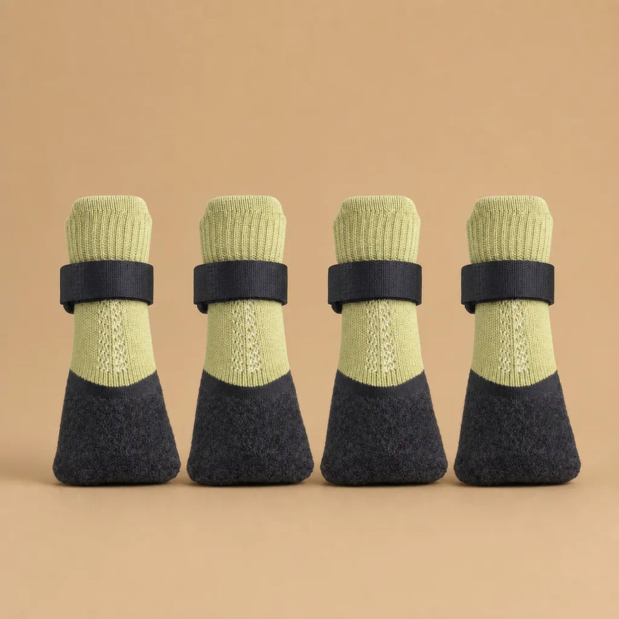 Chaussures pour chien neige - Bottes thermiques hiver