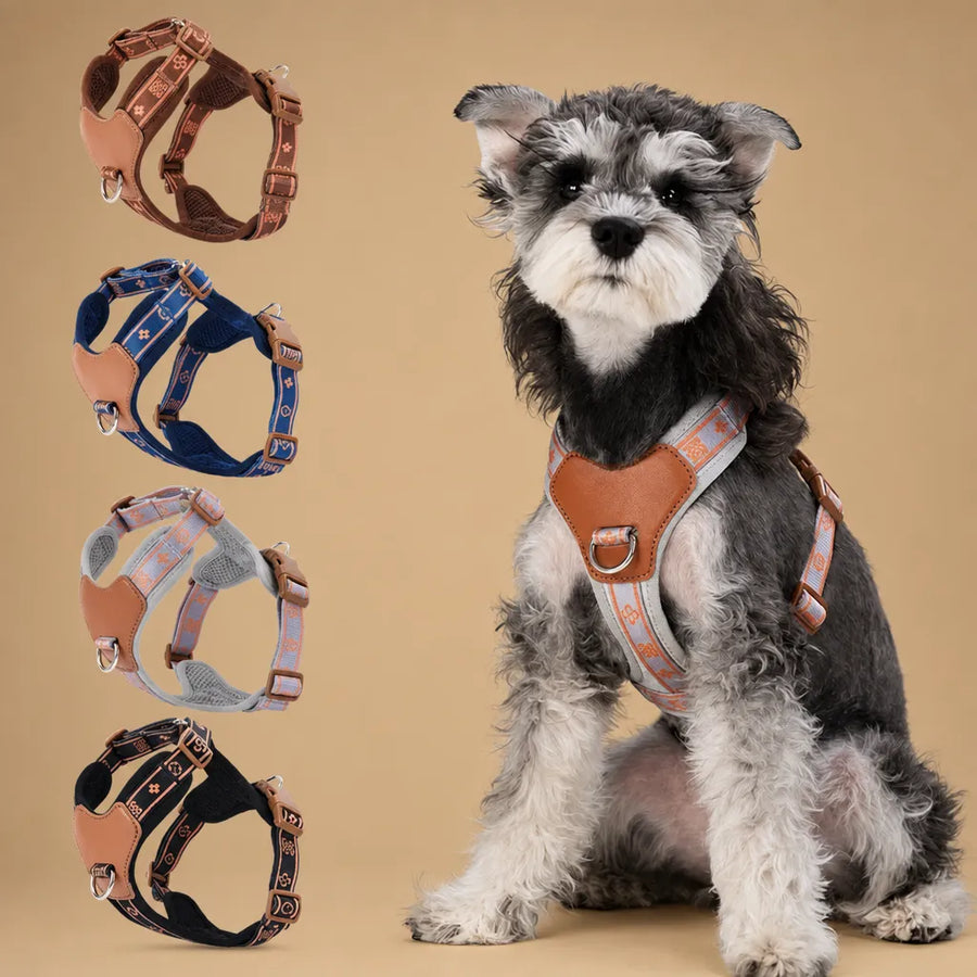 Harnais pour Petit Chien Respirant Réglable - 4 Coloris