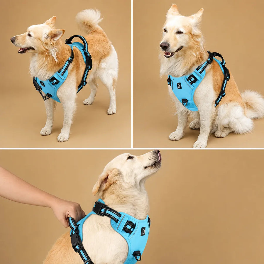 Harnais Chien Réfléchissant Rembourré - Double Attache