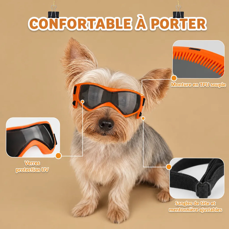 Lunette chien moto - Protection UV, vent et poussière