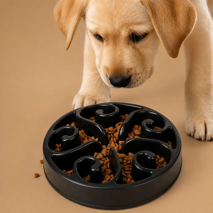 Gamelle alimentation lente chien - Bol anti-glouton ABS