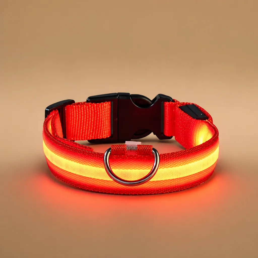 Collier chien lumineux - LED nylon 3 modes XS à XL