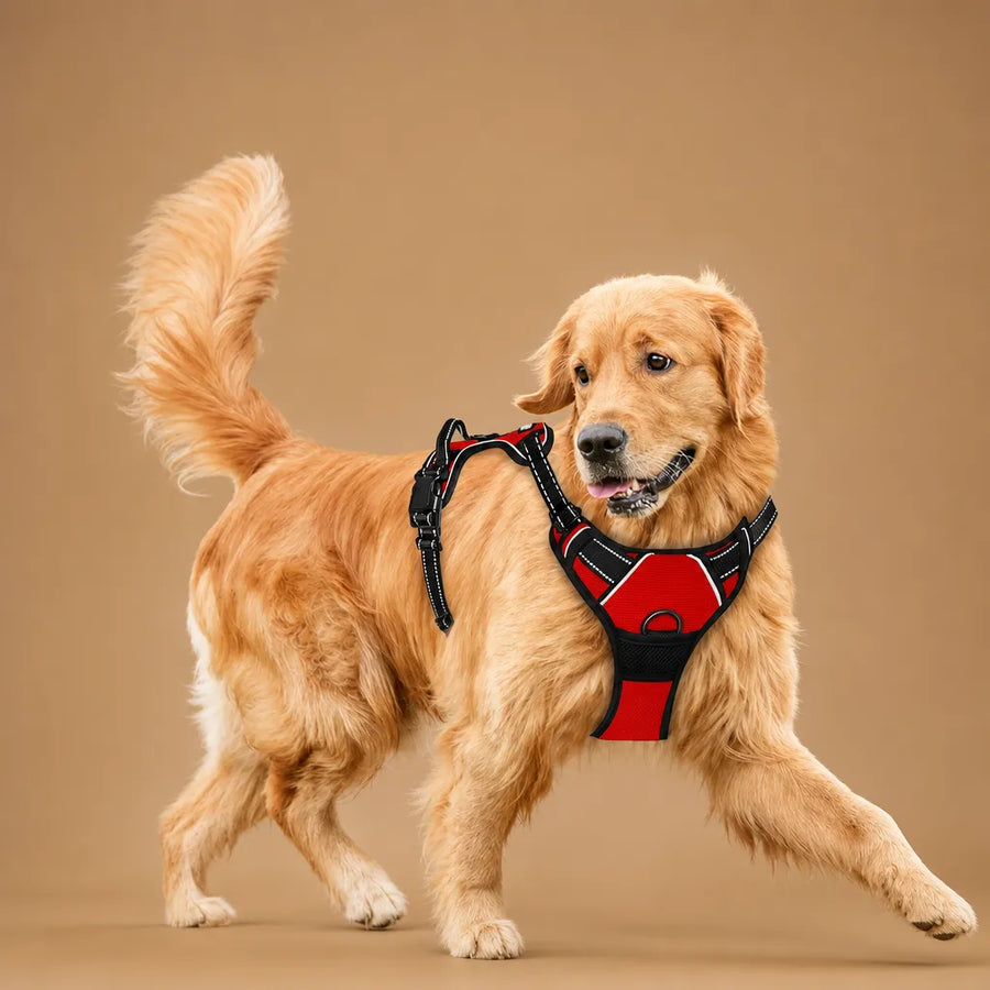 Harnais Chien Anti Traction Clip Frontal - Réfléchissant