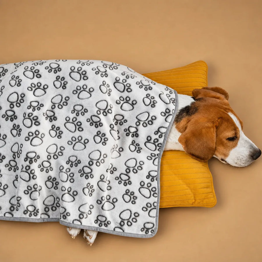 Plaid chien voiture en flanelle - Protection et confort voyage