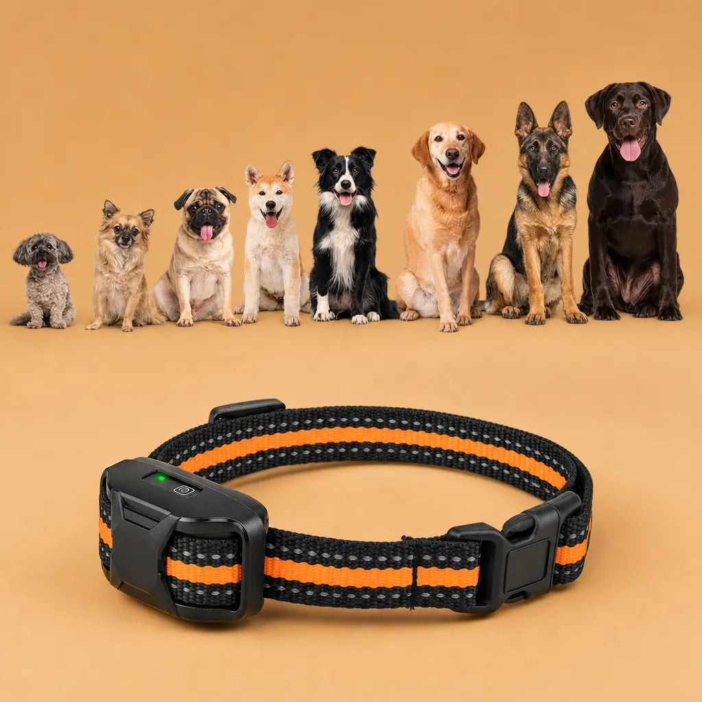 Collier dressage électrique chien - Télécommande 1100m IP67