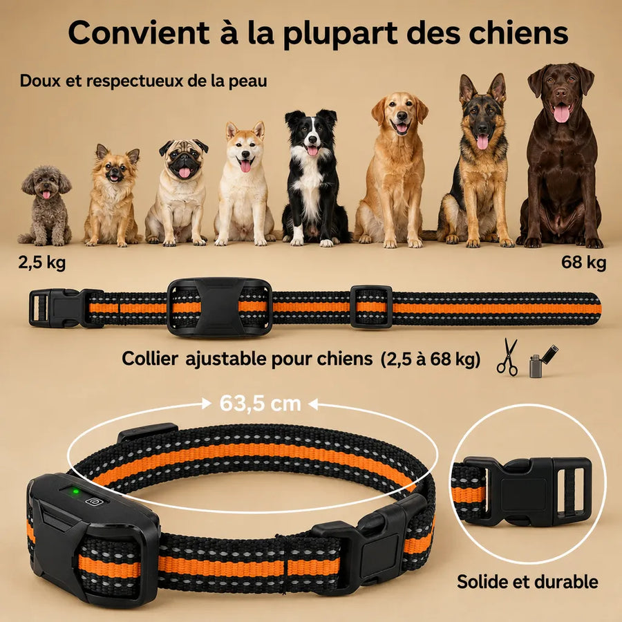 Collier dressage électrique chien - Télécommande 1100m IP67