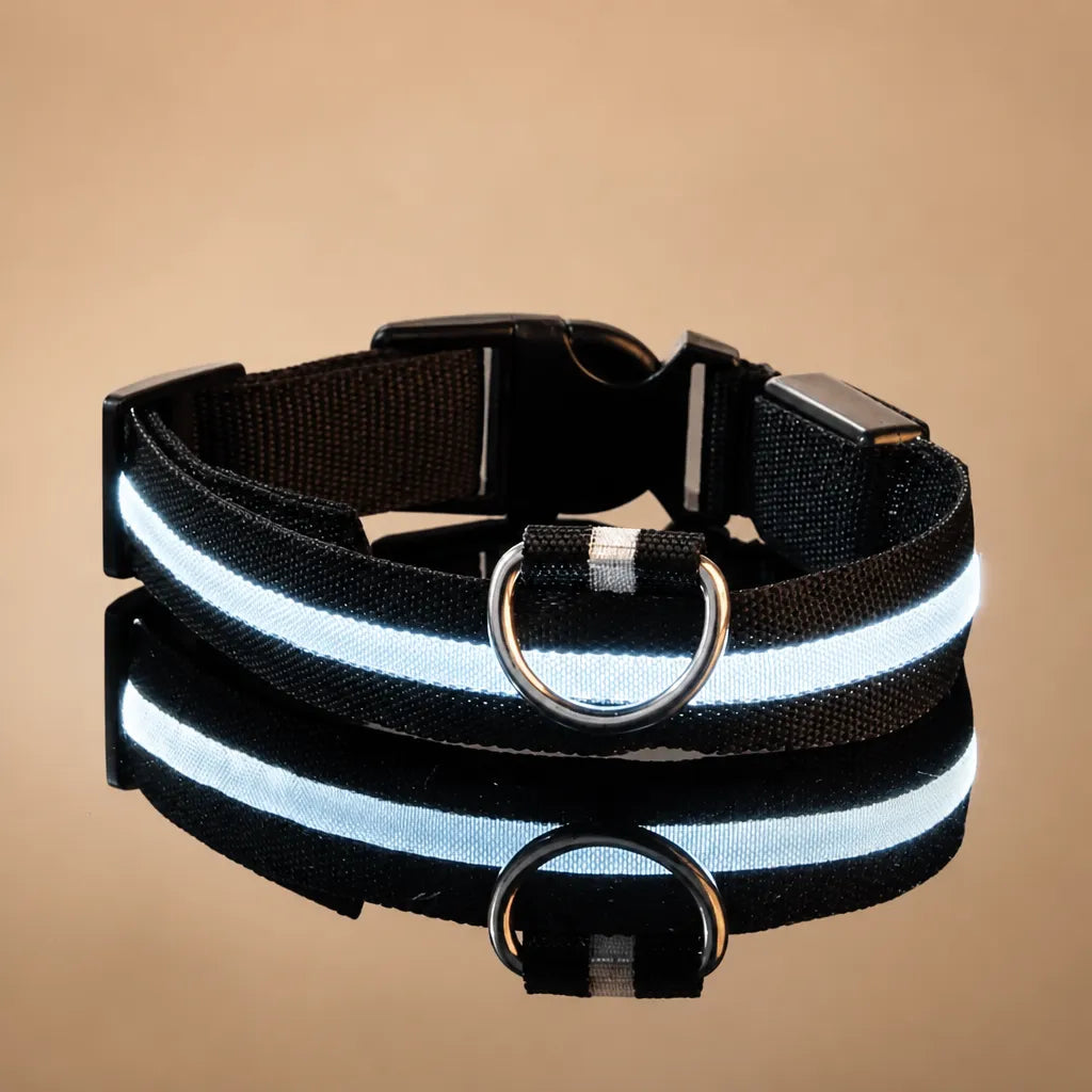 Collier chien lumineux - LED nylon 3 modes XS à XL