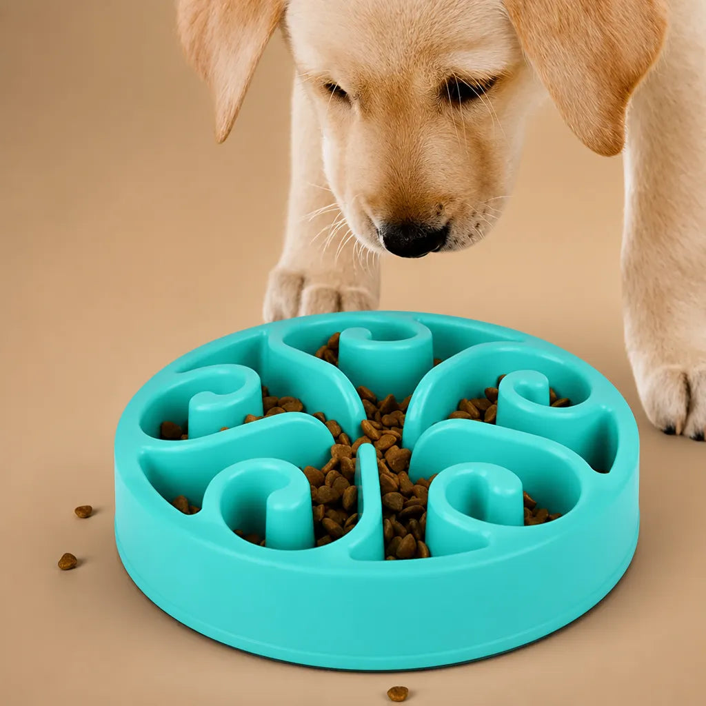 Gamelle alimentation lente chien - Bol anti-glouton ABS