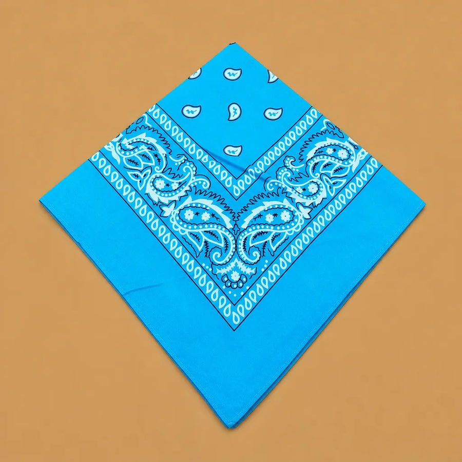 Bandana chien original paisley - 14 coloris 55 cm