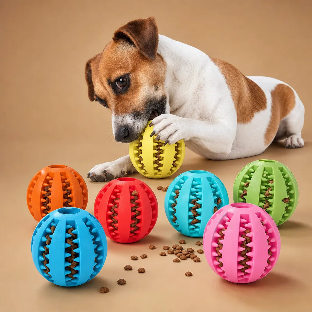 Balle kong chien caoutchouc - Picots distributeur friandises 5 cm