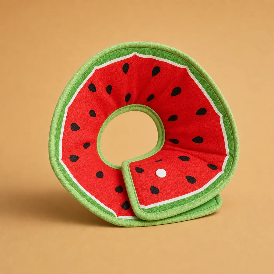 Collerette chien tissu coton - Motifs fruités anti-léchage
