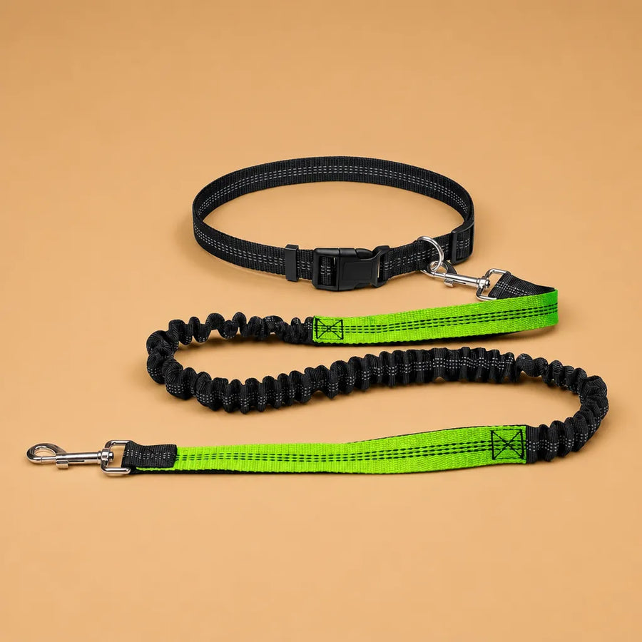 Laisse chien main libre - Ceinture réglable longe bungee