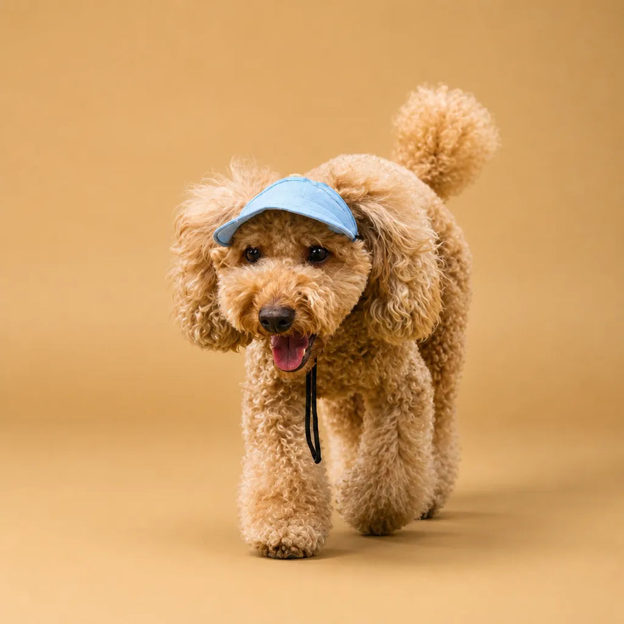 Casquette chien baseball - Visière UV & Trous pour oreilles
