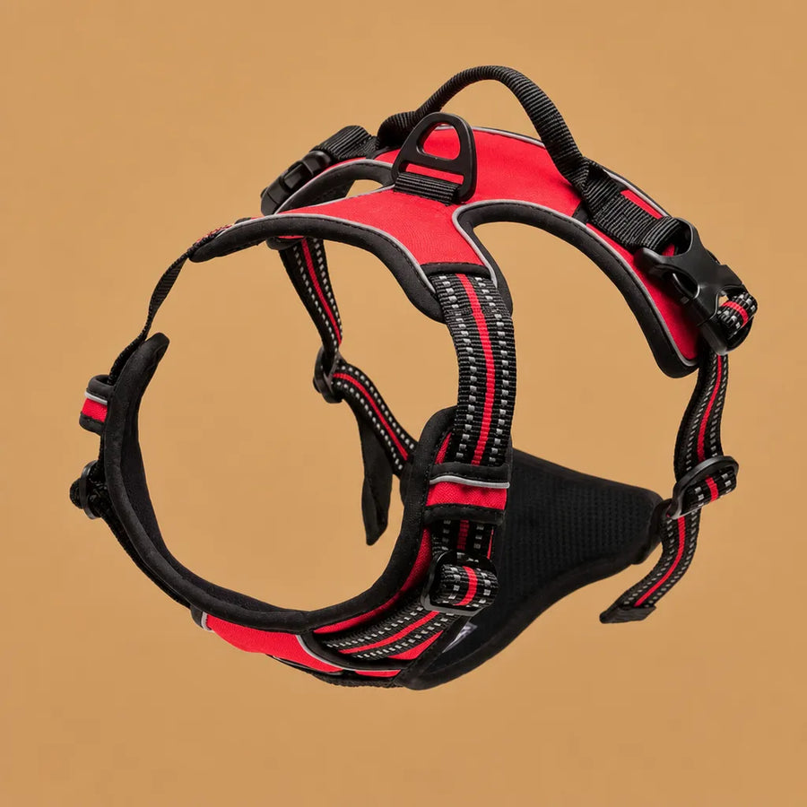 Harnais Chien Anti Traction Clip Frontal - Réfléchissant