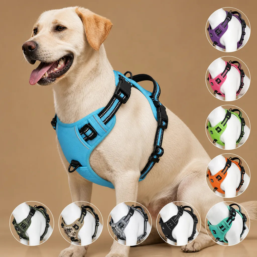 Harnais Chien Réfléchissant Rembourré - Double Attache