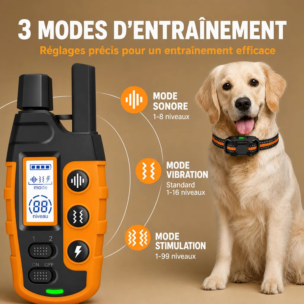 Collier dressage électrique chien - Télécommande 1100m IP67