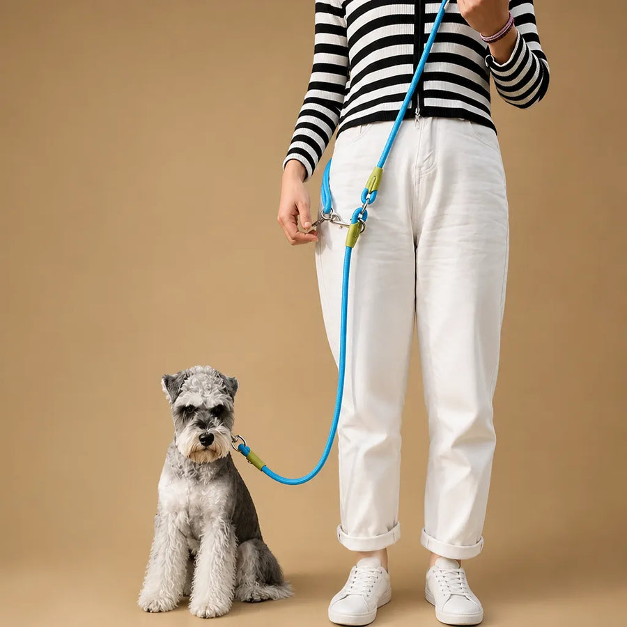 Laisse pour chien mains libres réfléchissante - Nylon