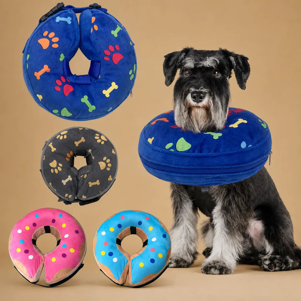 Collerette donut chien gonflable - Alternative douce au cône