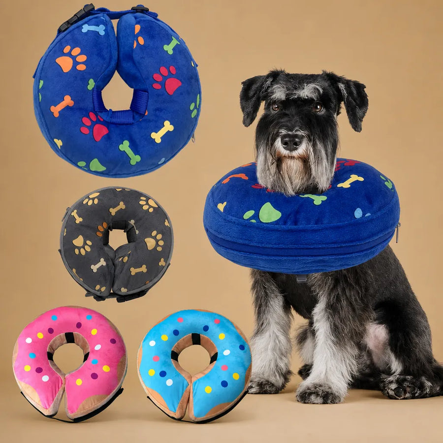 Collerette donut chien gonflable - Alternative douce au cône