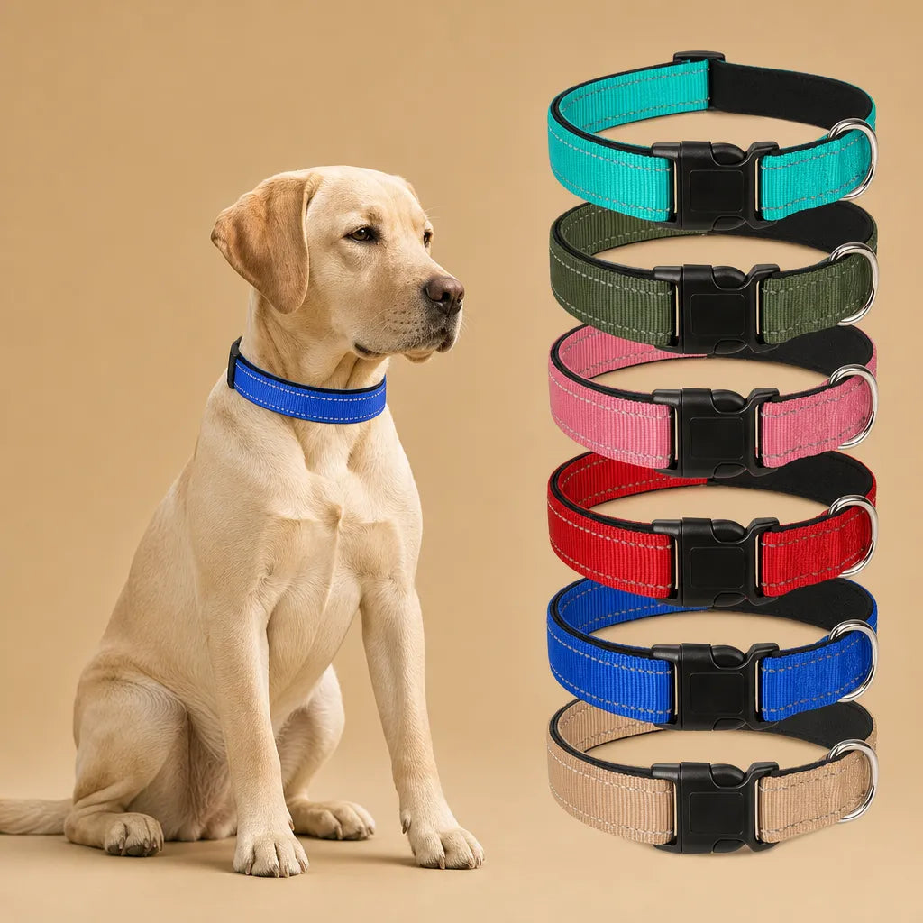 Collier chien réfléchissant - Nylon rembourré S à XL 14 coloris