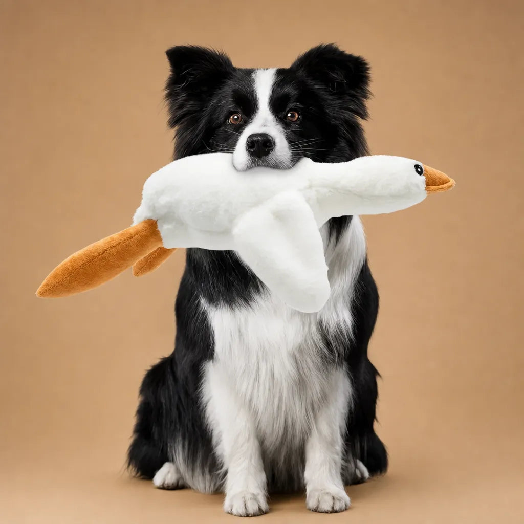 Jouet canard pour chien - Peluche douce et résistante à mâchouiller