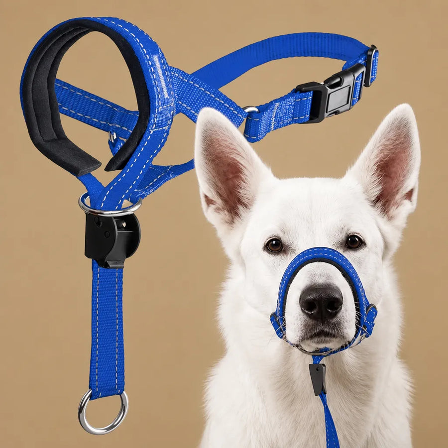 Muselière pour chien - Licol de tête nylon grandes races