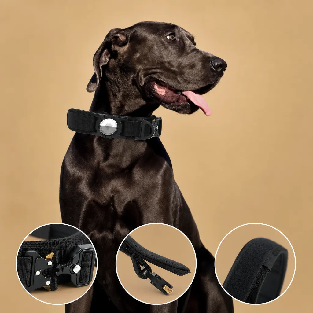 Collier chien tactique avec AirTag - poignée de contrôle