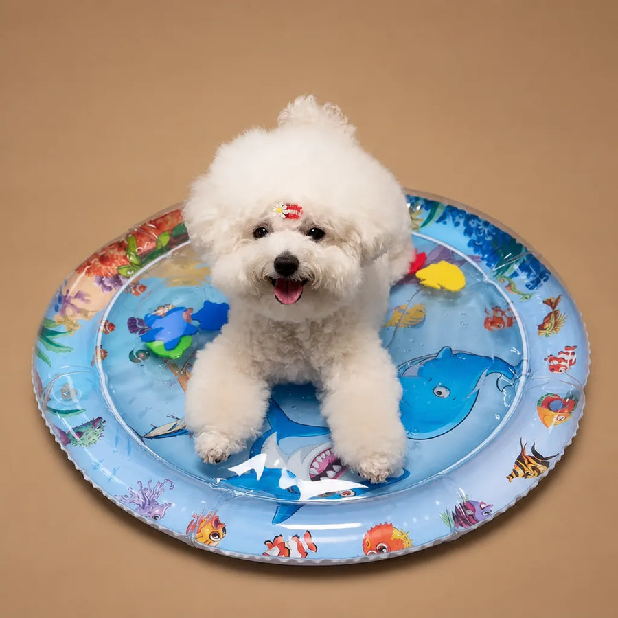 Tapis eau chien gonflable PVC - Fraîcheur interactive été