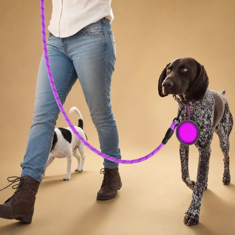 Laisse chien solide corde réfléchissante - Toutes races