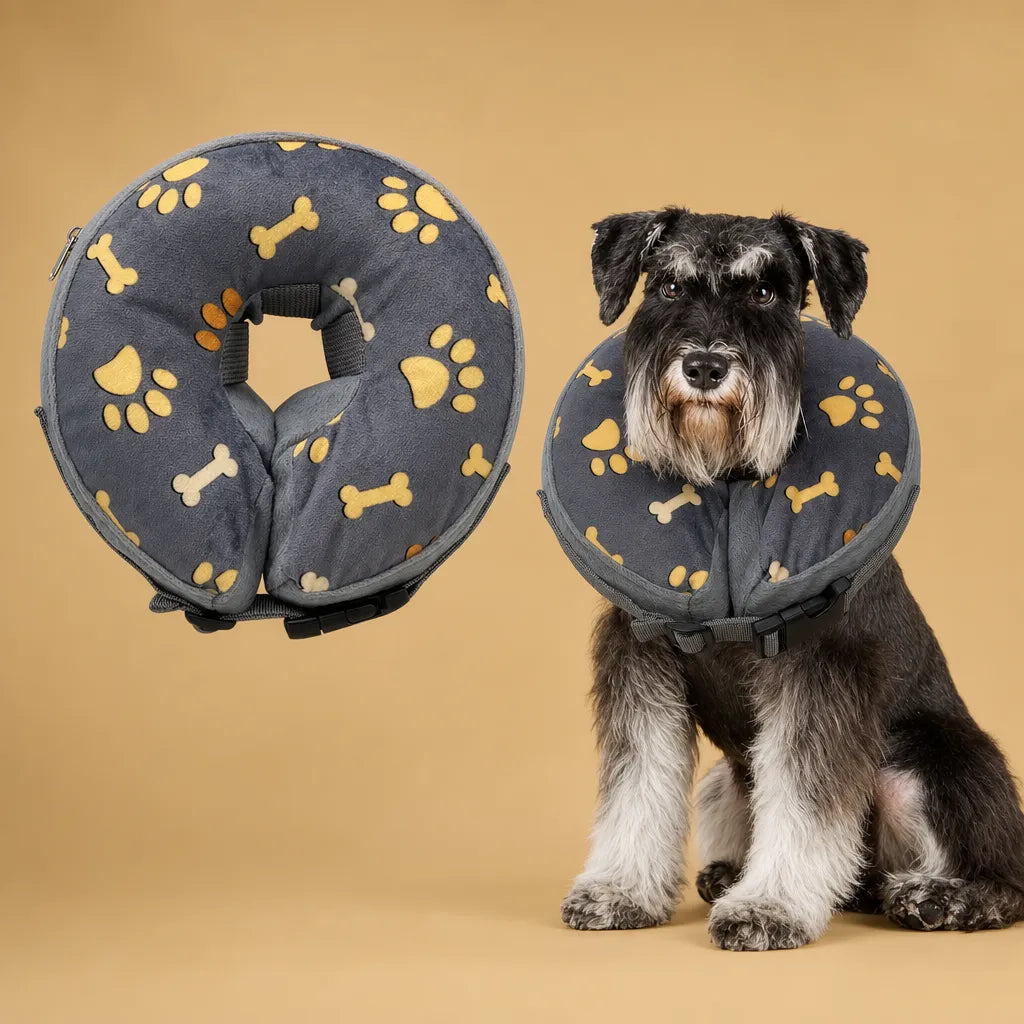 Collerette donut chien gonflable - Alternative douce au cône